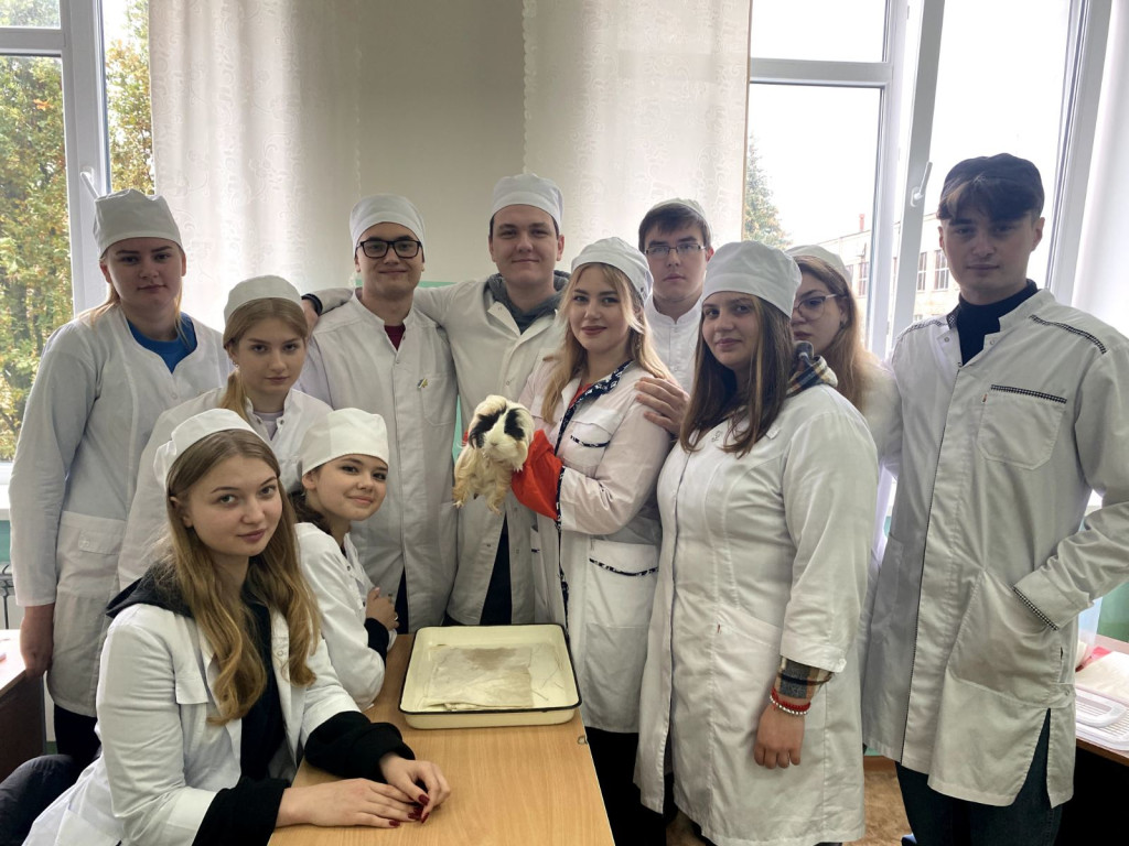 дослідження статичних і стато-кінетичних рефлексів у морської свинки.