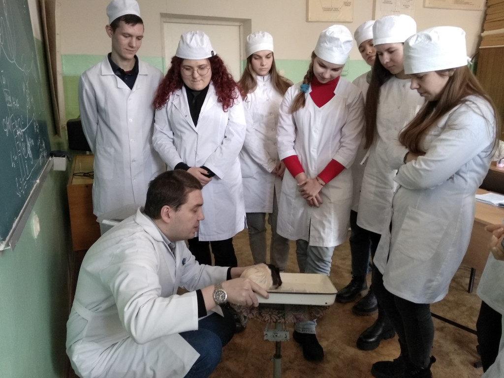 Викладач Андрій Сухомлин провів разом зі студентами 16 групи ІІ курсу медичного факультету дослідження статичних та стато-кінетичних рефлексів гвінейської морської свинки.