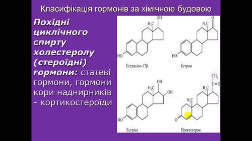 Відеотека.