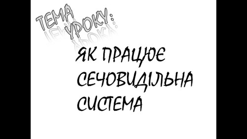 Відеотека.