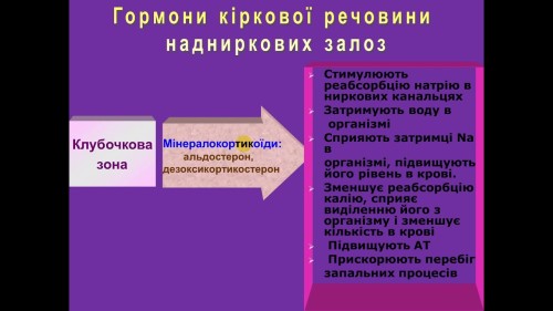 Відеотека.