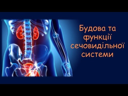 Відеотека.