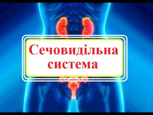 Відеотека.