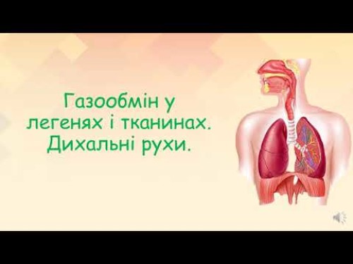 Відеотека.