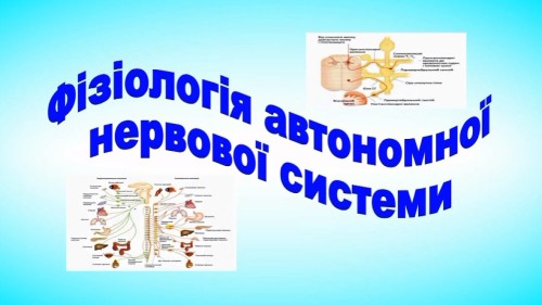 Відеотека.