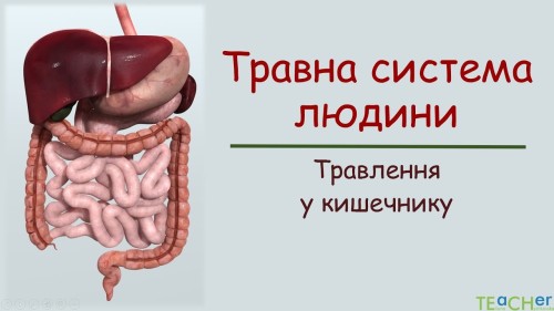Відеотека.