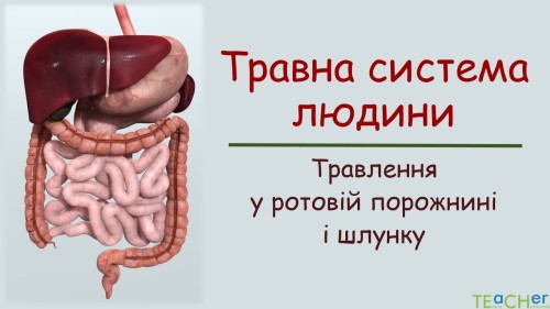 Відеотека.